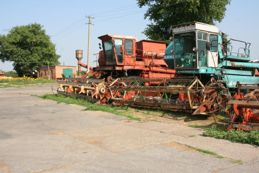 53783 (a): :2496x1664